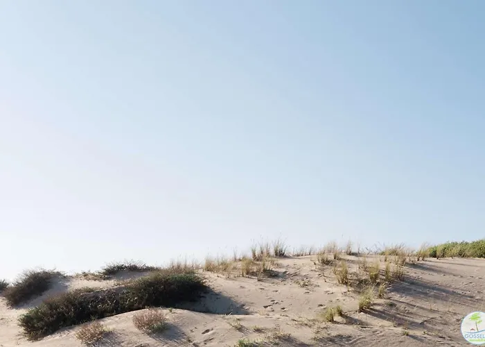 Maison 6 Couchages Avec Terrasse Vila *